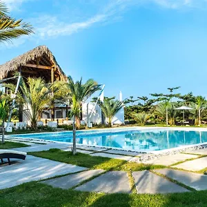 Coconut Paradise Juan Baron
